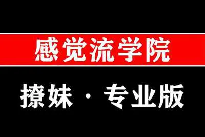 感觉流撩妹 感觉流学院恋爱音频直播培训课专业版-元气ACG-绅士游戏下载基地！