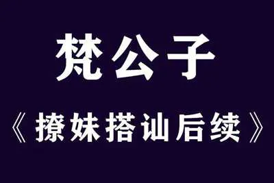 梵公子:搭讪恋爱后续聊天视频教程-元气ACG-绅士游戏下载基地!