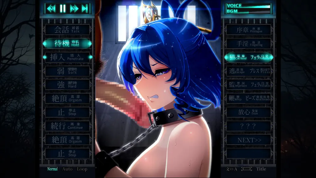 图片[6]-惩罚娘娘Ｒ Ver1.4 官中PC版+视频 おしおき娘々R-元气ACG-绅士游戏下载基地！